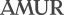 Logo AMUR