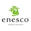 Logo Enesco