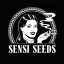 Logo Sensi