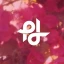 Logo Popilush