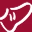 Logo ShoeMall