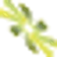 Logo Bioticas