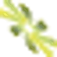 Logo Bioticas