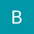 Logo Blooms