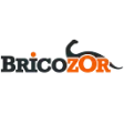 Logo Bricozor