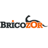 Logo Bricozor