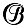 Logo Buffalo Shop