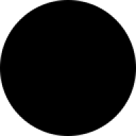 Logo BURGA 