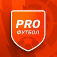 Logo Champion