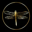 Logo Chic Ethnique