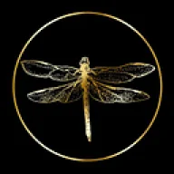 Logo Chic Ethnique