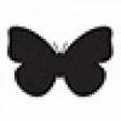 Logo D’aniello boutique