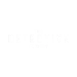 Logo Detective Society