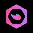 Logo Enjify