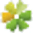 Logo Insectes Comestibles