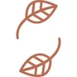 Logo Flora Store