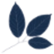 Logo PHYTO