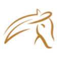 Logo Galop Store