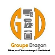 Logo Groupe dragon