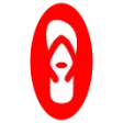 Logo Havaianas Store