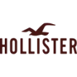 Logo Hollistercocom1