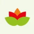 Logo Les Graines de France