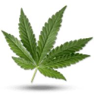 Logo Lord of CBD