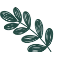 Logo Maison du laurier