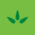 Logo Manni