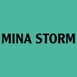 Logo Mina Storm