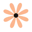 Logo Monsieur Fleurs