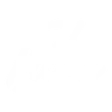 Logo Tribu News
