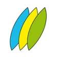 Logo Naturoptic