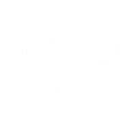 Logo Nerdywave