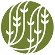 Logo Palais Des Thés