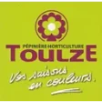 Logo Toulz