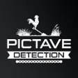 Logo Pictave Détection