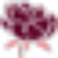 Logo Pivoine Lingerie
