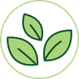 Logo Pousse Pousse