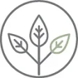 Logo Laboratoire Pronatur