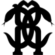 Logo Roberto Cavalli
