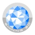 Logo Shining3d