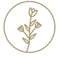 Logo Spafinder
