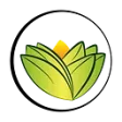 Logo The Ayurveda Experience