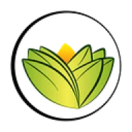 Logo The Ayurveda Experience