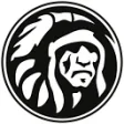 Logo The Indian Face