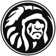 Logo The Indian Face