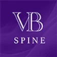 Logo Vbs