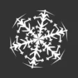 Logo Winternational
