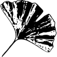 Logo Yogamatata